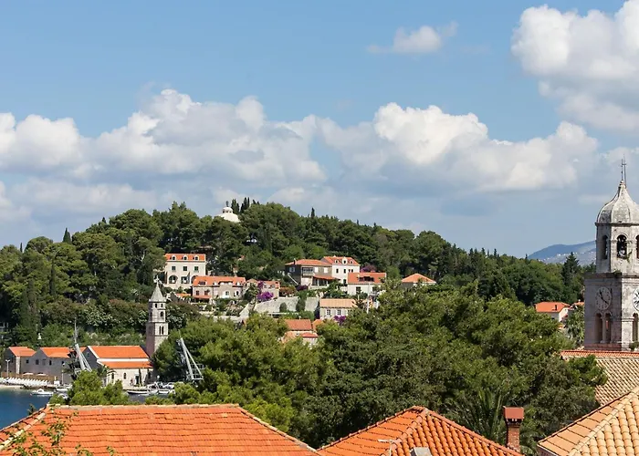 Miljan Popovic - With Terrace Apartament *